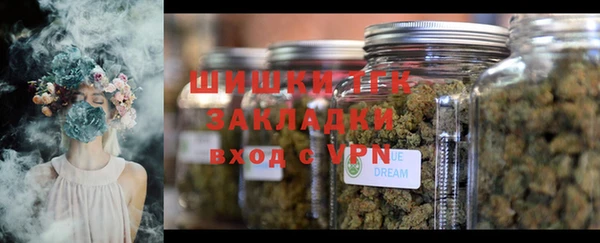 дживик Балахна
