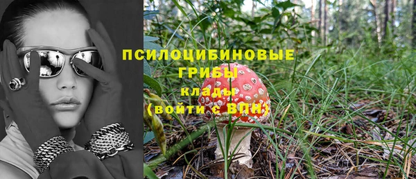 дживик Балахна