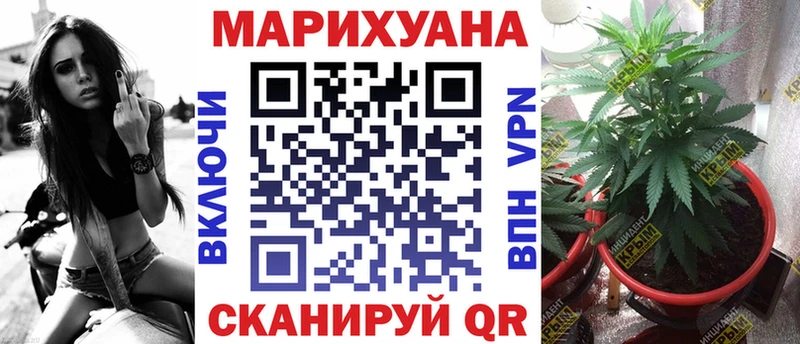hydra маркетплейс  Тутаев  Конопля AK-47 